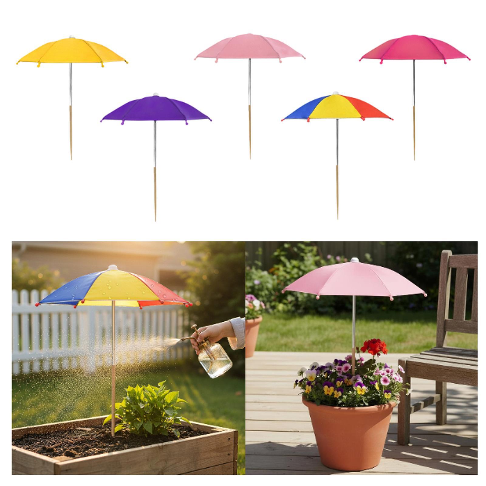 Payung Tanaman Pelindung Luar  - Outdoor Furniture With Umbrella ulasan dan harga